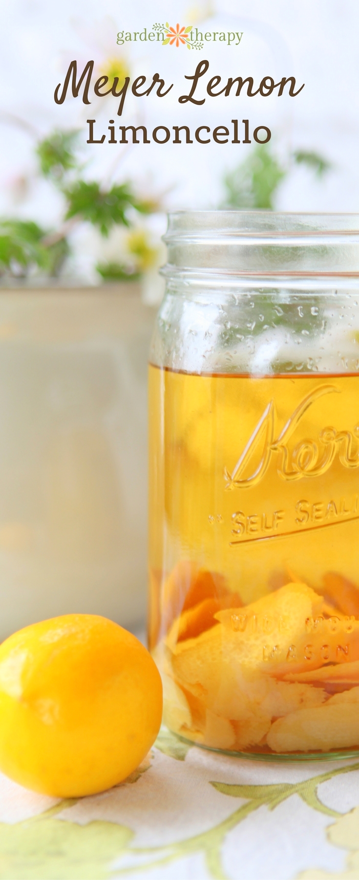 How to make Meyer lemon limoncello