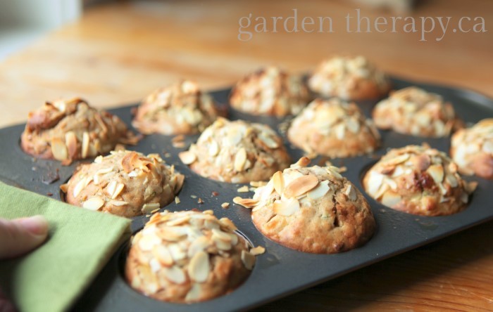 Everything in the Garden Muffins (Zucchini Apple Cranberry Walnut Almond Oatmeal)