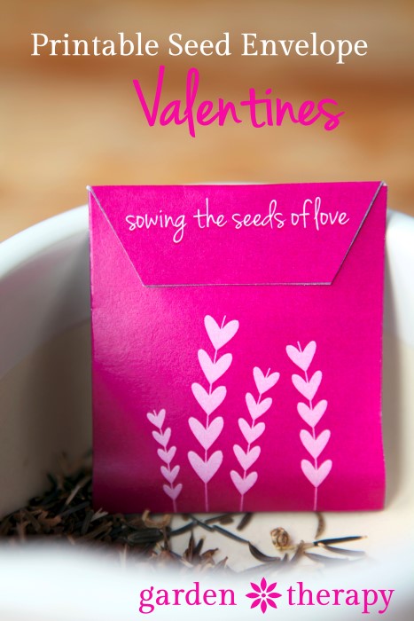 Free Printable Seed Envelope Valentines