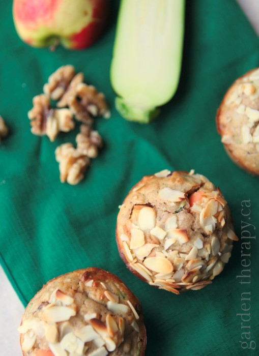 Garden Muffin Recipe (Zucchini Apple Cranberry Walnut Almond Oatmeal)
