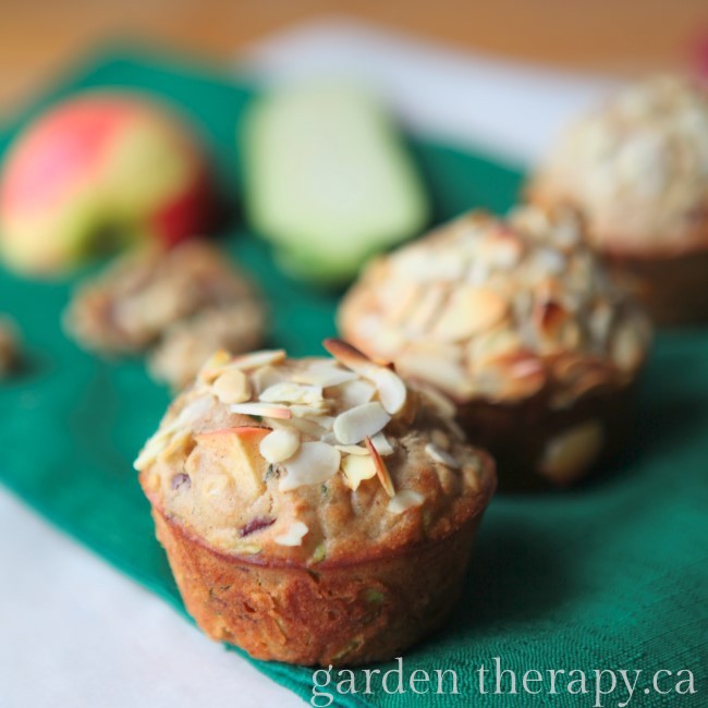 Garden Muffins (Zucchini Apple Cranberry Walnut Almond Oatmeal) Yum