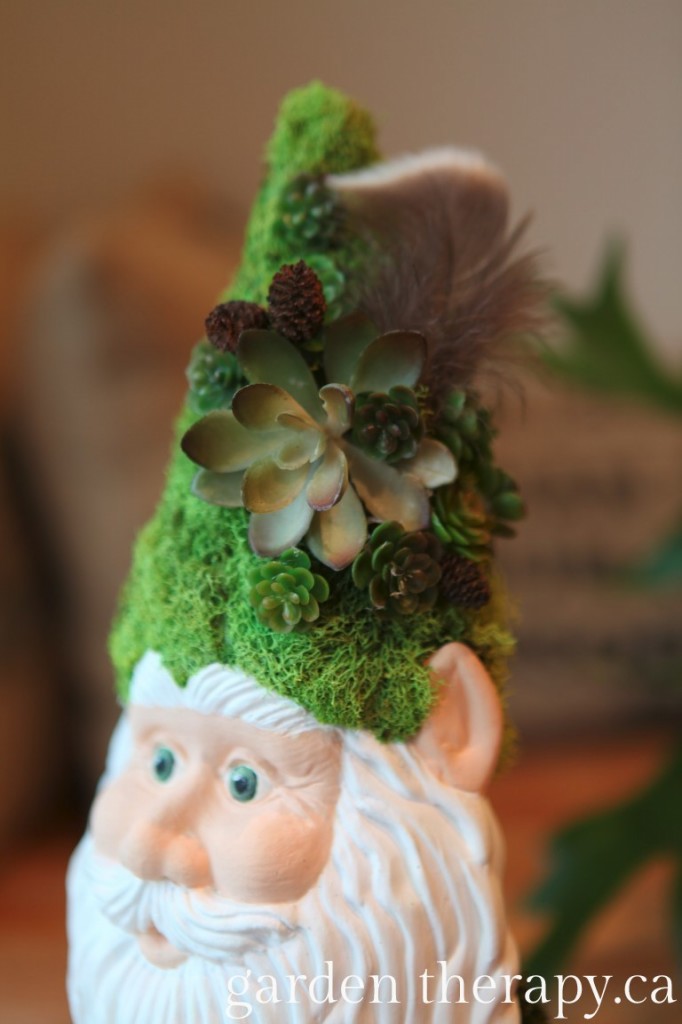 Gnome Hat with Lichen, pine cones, succculents and an owl feather