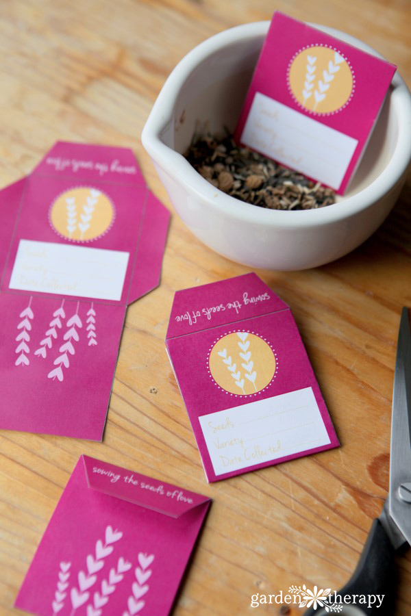 Free Printable Valentines Seed Envelopes / Seed Packets