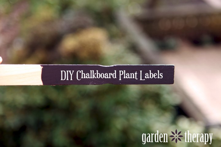 DIY Chalkboard Paint Plant Markers