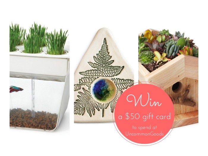 Enter to WIN an Uncommon Goods $50 Gift Card