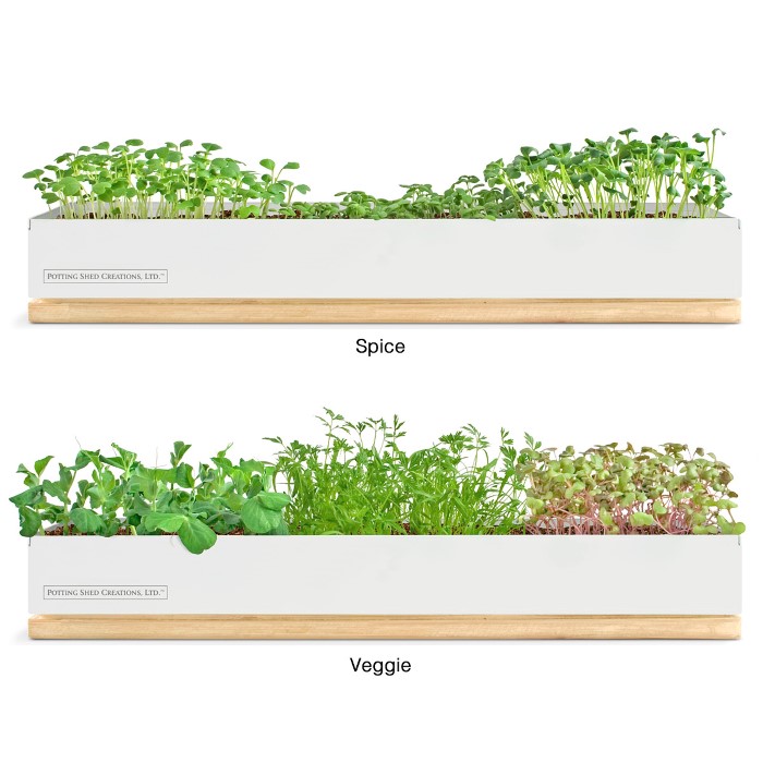 Microgreens Grow Boxes found at UncommonGoods