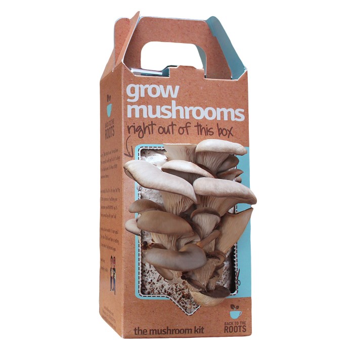 Mushroom Kit found at UncommonGoods