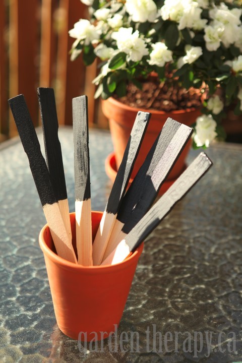 Plant Tags from Chalkboard Paint and Paint Sticks