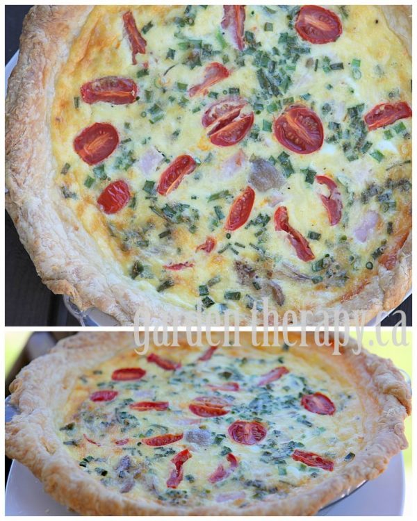 Garden Fresh Quiche with Tomatoes, Chives, and Goat Cheese Garden Therapy