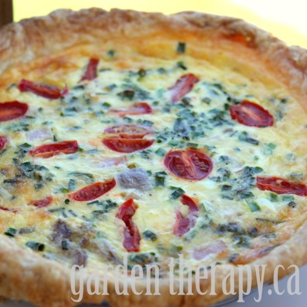 Garden Fresh Quiche with Tomatoes, Chives, and Goat Cheese Garden Therapy