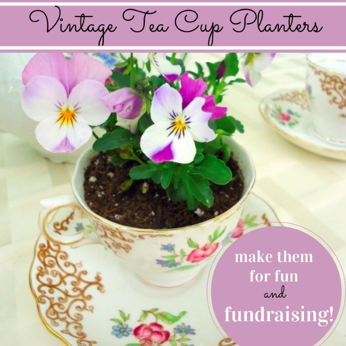 Vintage Tea Cup Planters - Make them for fun or fundraising!