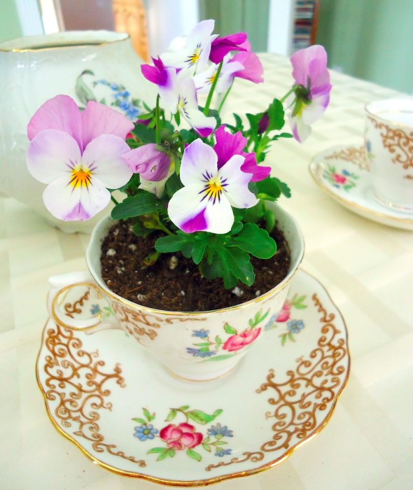 Vintage Teacup Planters for Wedding