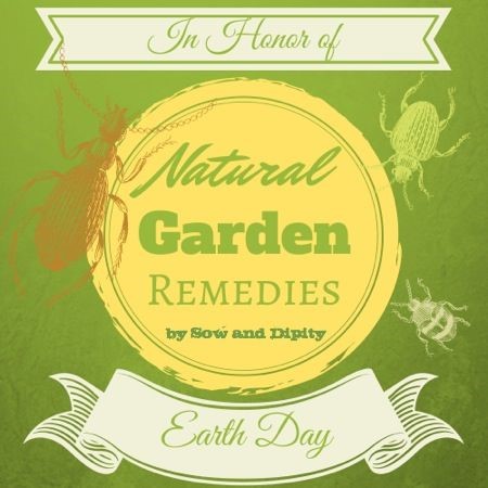 Natural Garden Remedies for Earth Day Sow and Dipity