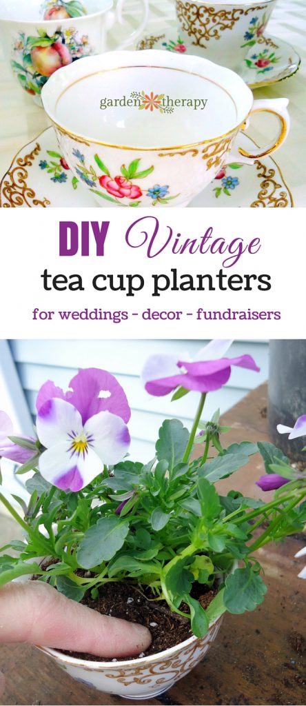 Tea cup planters for Mother's Day, teacher gifts, weddings, and as a fundraising tool