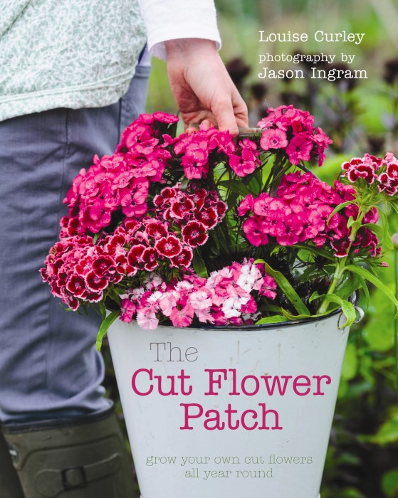 The Cut Flower Patch Book