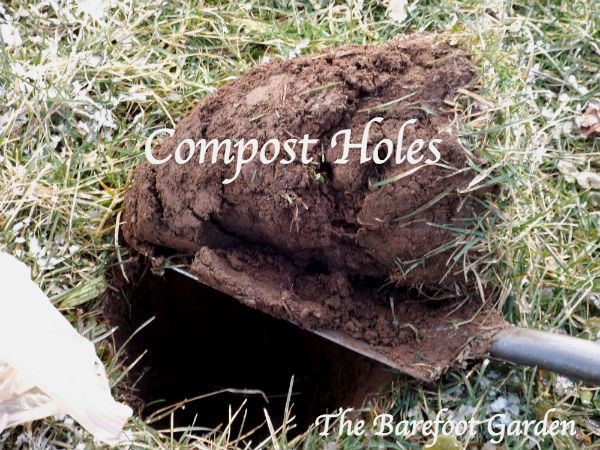 compost-holes-the-barefoot-garden