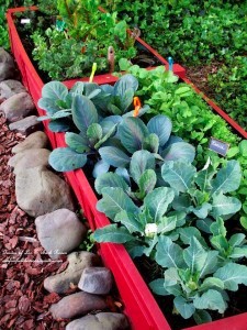 repurposed shutters into garden bed from Our Fairfield Home and Garden