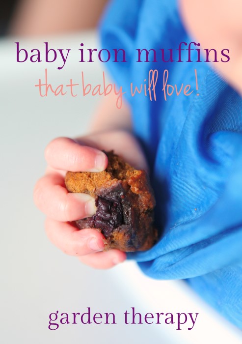 Iron Muffin recipe that your baby will love