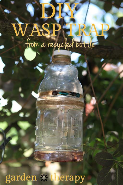 DIY Wasp Trap from a Recycled Bottle