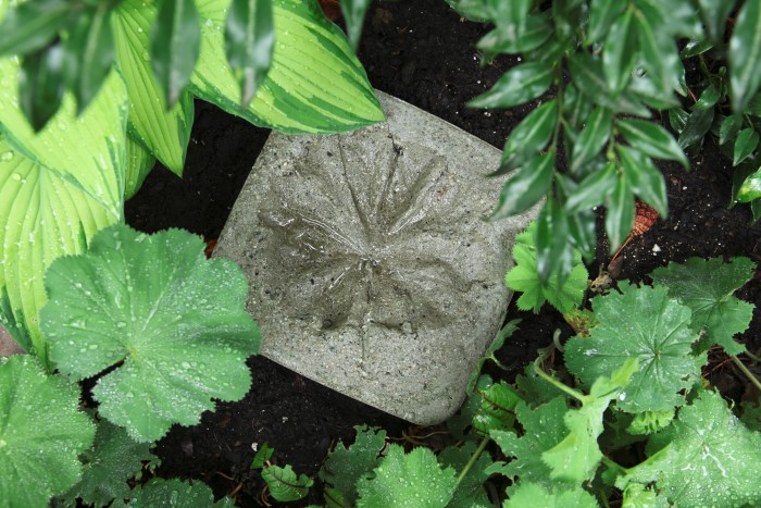 Pietre da giardino in cemento con impronte di foglie