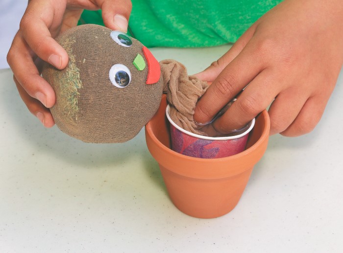 Step 5 of making grassy garden gnomes with kids