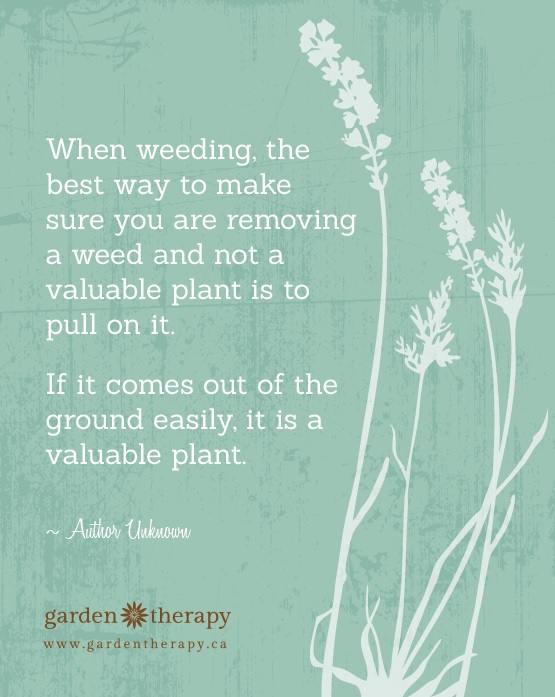 When weeding, the best way to make sure you are removing a weed and not a valuable plant is to pull on it. If it comes out of the ground easily, it is a valuable plant FREE PRINTABLE QUOTE