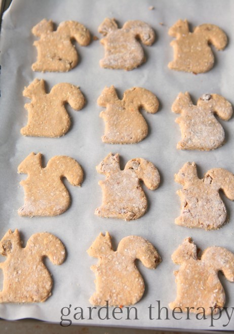 Homemade Dog Biscuits