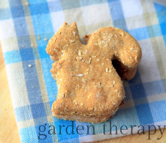 Homemade Dog Cookie Recipe with oatmeal and cinnamon