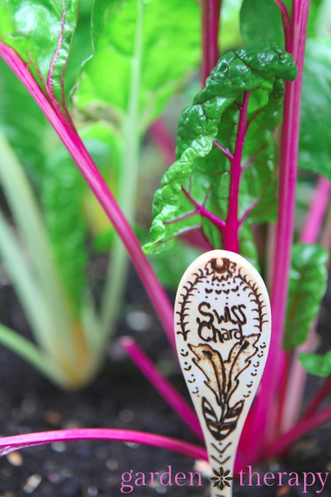 How to make pretty plant labels with a wood burning pen