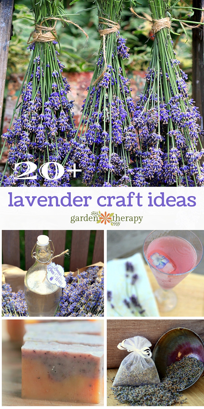 More than 20 creative ways to use lavender