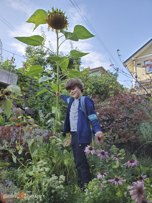 kid with sunflower, people and plants