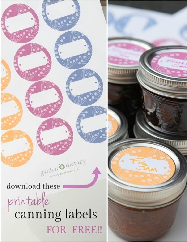 Download These Free Printable Canning Labels from Garden Therapy - Berry Design in Three Colours