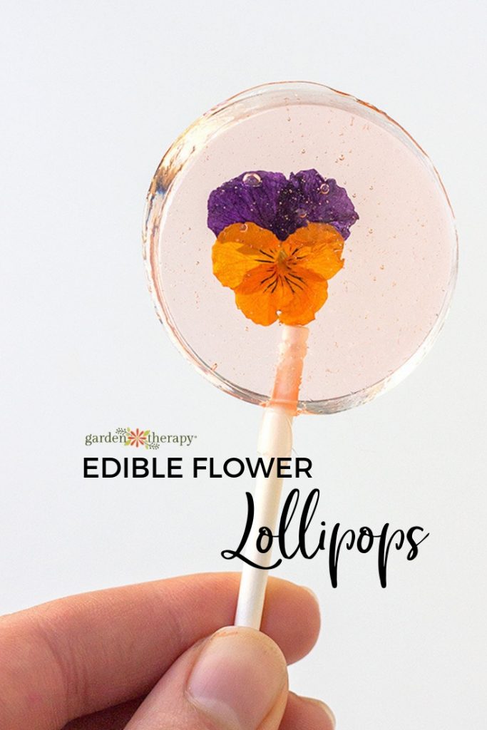 Edible Flower Lollipops