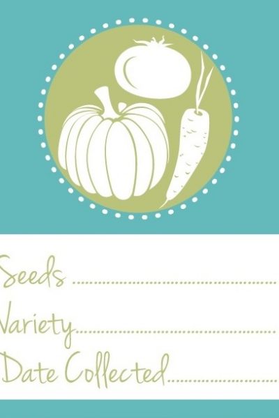Seed Packet Printable Archives Garden Therapy