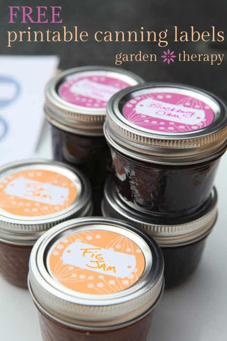 Free Printable Canning Labels for jams and preserves - cute berry design in 3 colors