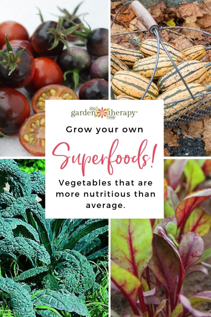 Grow Your Own Superfoods!