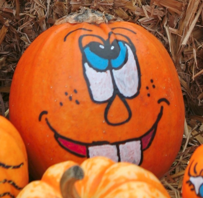 cute painted pumpkin faces