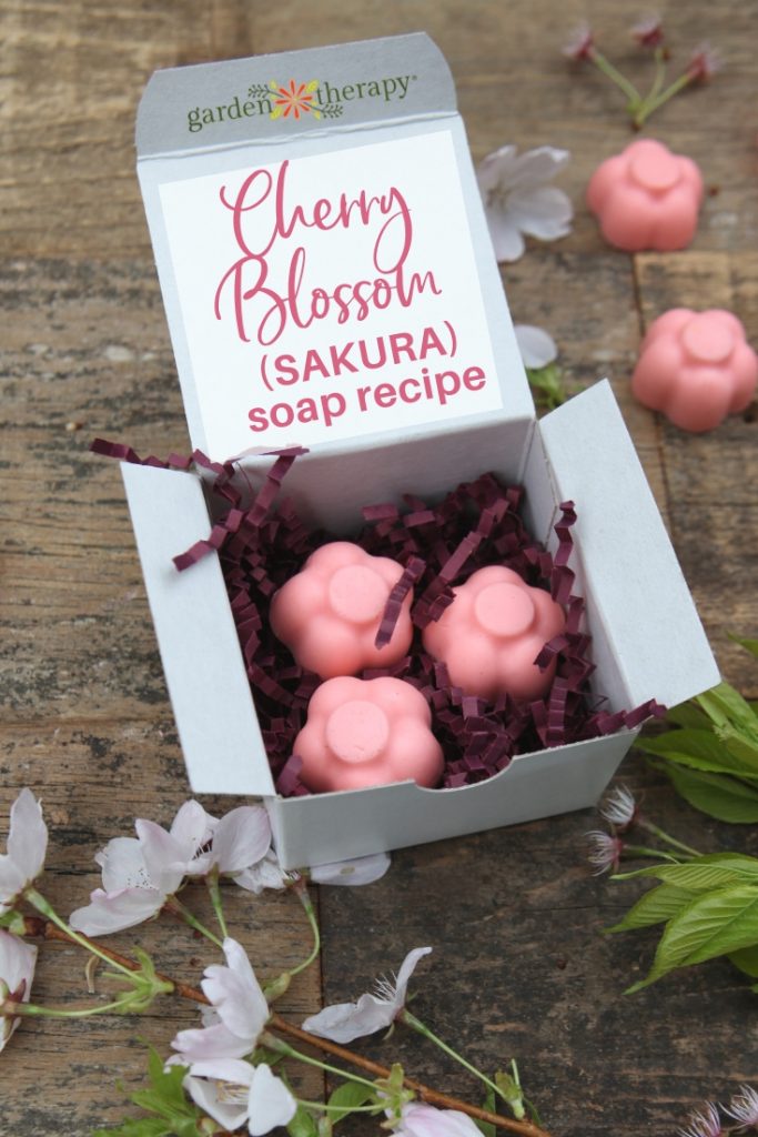 Sakura Cherry Blossom Soap