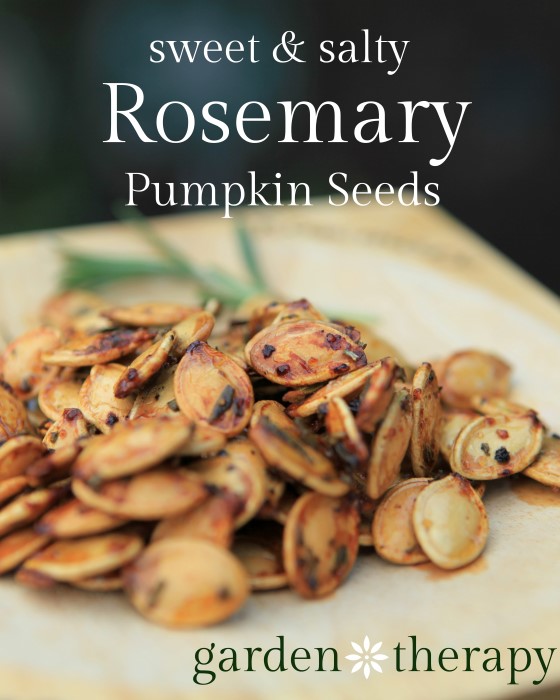 Highly Addictive Rosemary Pumpkin Seeds