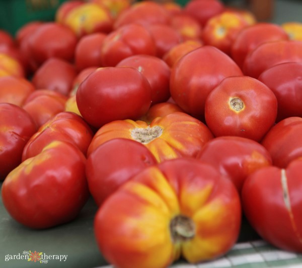 heirloom tomatoes