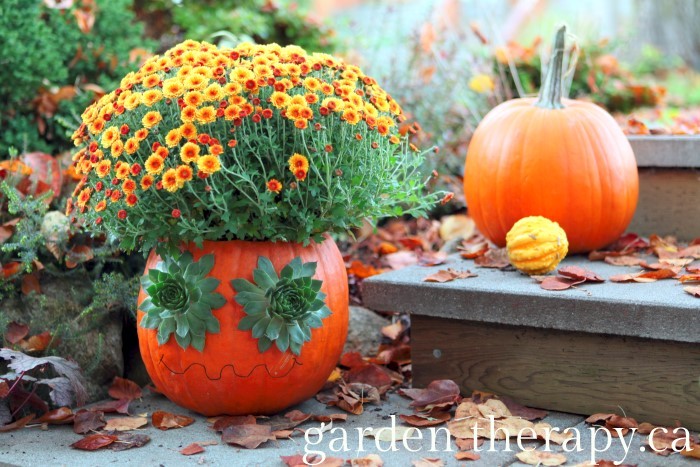 Groovy Pumpkin Planter