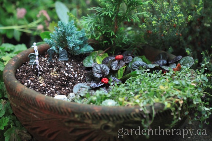 Halloween Mini Garden: a closer look