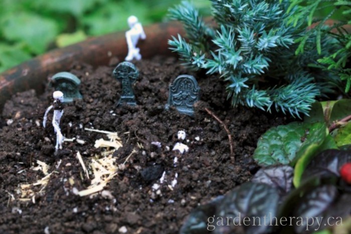 Halloween Mini Garden graveyard