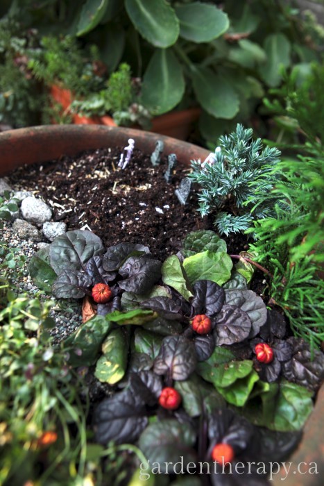 Halloween Mini Garden pumpkin patch and graveyard