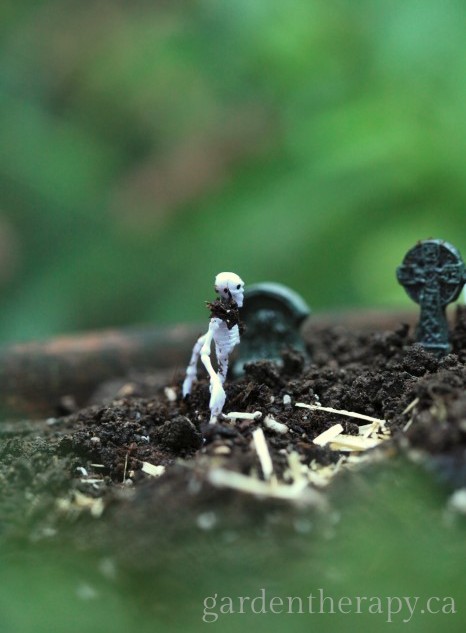 Halloween Mini Garden skeleton close up