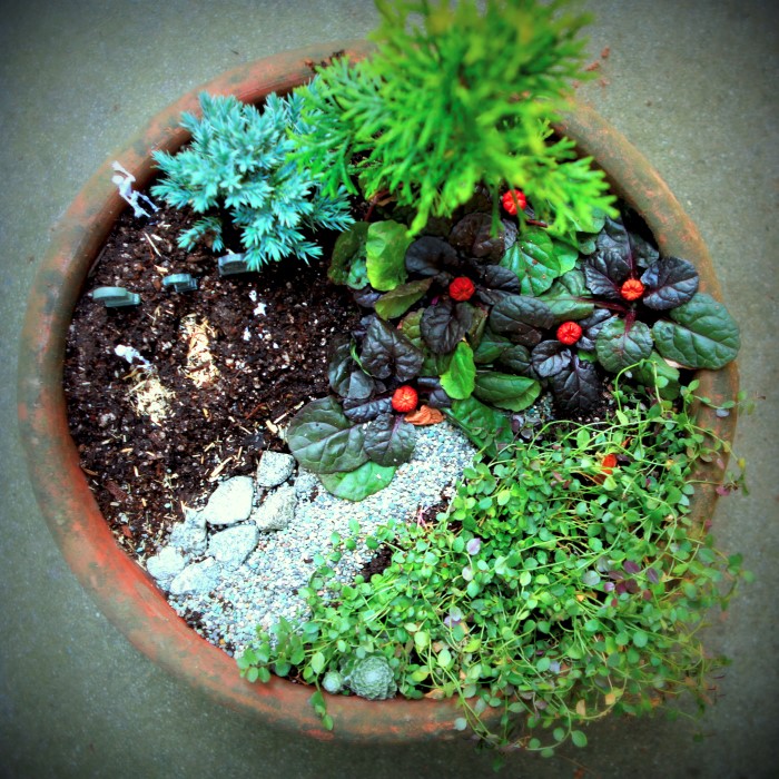 A Halloween miniature garden complete with a tiny graveyard and mini pumpkin patch