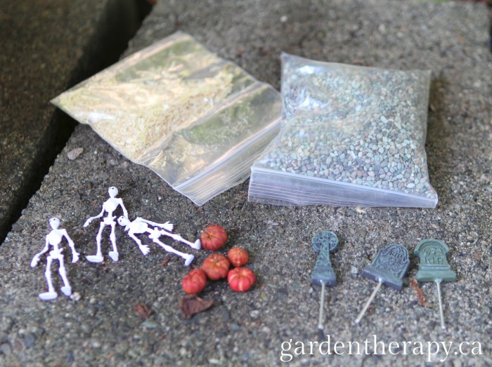 Halloween Miniature Garden Kit