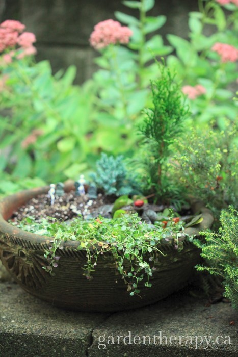 Halloween container garden