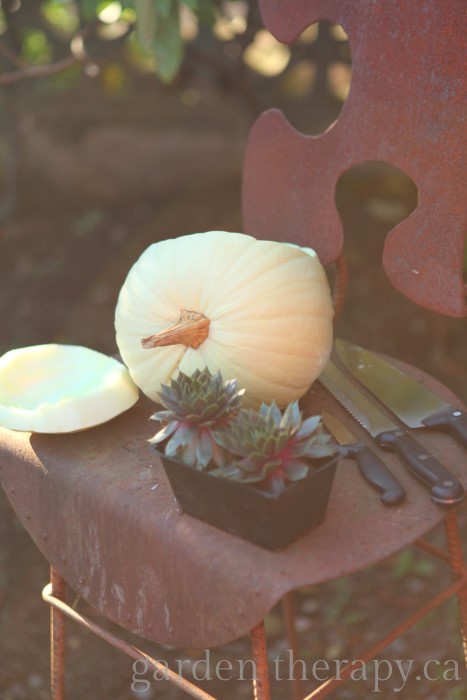 How to make an owl out of a pumpkin