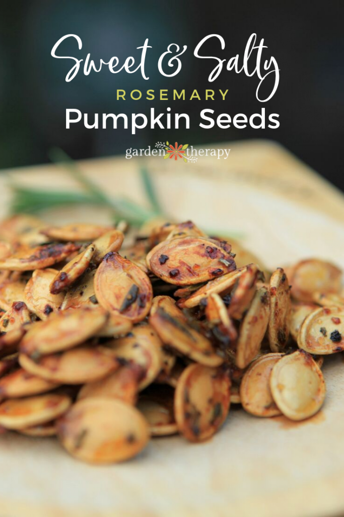 Sweet & Salty Rosemary Pumpkin Seeds Recipe